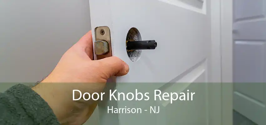 Door Knobs Repair Harrison - NJ