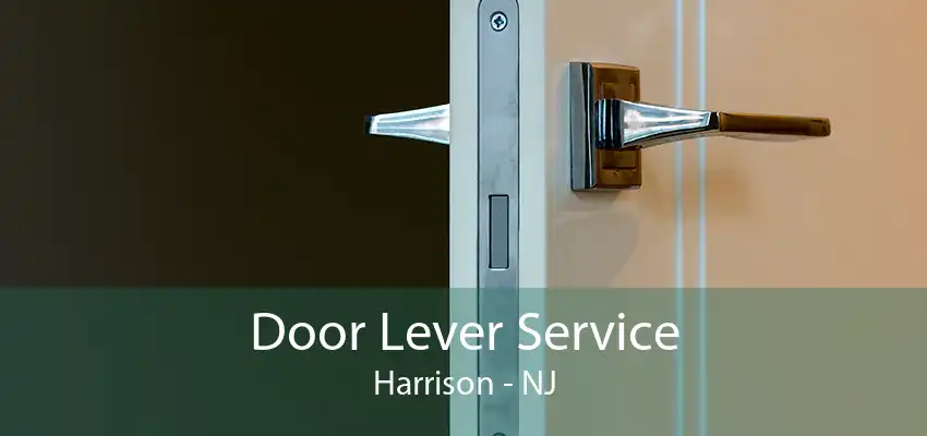 Door Lever Service Harrison - NJ