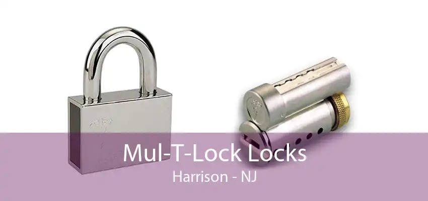 Mul-T-Lock Locks Harrison - NJ